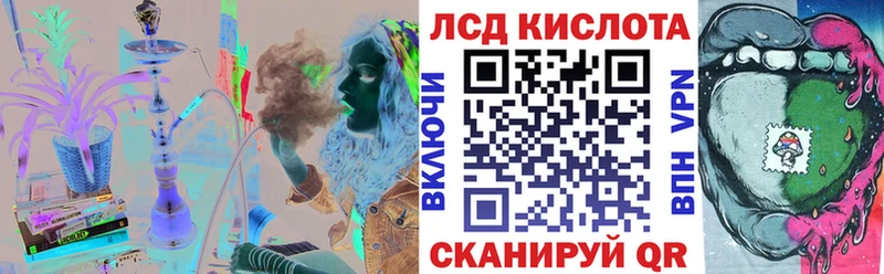где купить наркоту  Тайга  OMG зеркало  Наркотические марки 1500мкг 